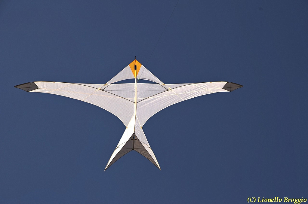32 FESTIVAL CERVIA 2012 - 221.jpg